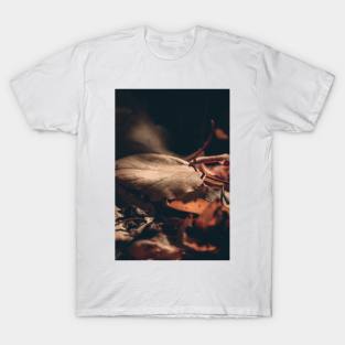 Autumn Leaves T-Shirt